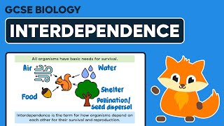 Interdependence - GCSE Biology