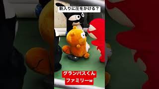 新入りのタヌキに圧をかける？グランパスくんファミリーw 【グランパスポンタ】