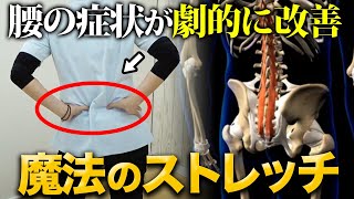 ガチガチ背骨の動きを解放！多裂筋リリースで長引く腰痛を根本解決！