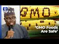 GMOs Are Safe For Human, Animal Consumption - Researchers