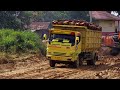 sopir truk sawit riau sudah putus urat takut nekat terobos lumpur hingga patas as roda