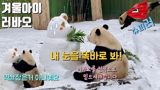 [바오패밀리vlog] 눈을사랑한아이러바옹, 온몸으로예술하시는러선생, 곰돌이컷은제게맡기세요, 당신은사랑받는판다러바오