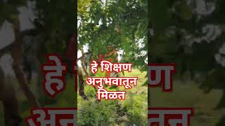 हे शिक्षण कोणत्या विद्यापीठातुन मिळते