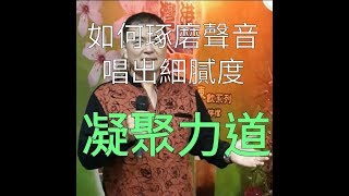 呂松霖歌唱技巧教學 【凝聚力道的重要】  無聲的思念（下集） 原唱：張秀卿