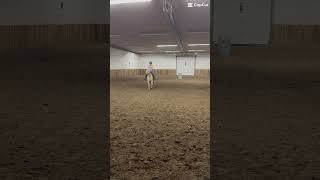 @PRSStudiosOfficial hi this is a vid of me riding #prim #tennesseewalkinghorse #equestrian #equine