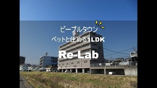 宮崎市 賃貸 家賃5万円以下ネット無料つき ピープルタウン 406号 【不動産のリーラボ】