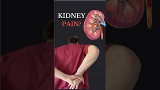 Kidney Pain: Causes & Quick Checks