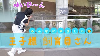 「ゆいひ～ん、結ひ～ん」、楓浜お気に入り飼育員さんはみんなに優しい飼育員さん、結浜、楓浜入れ替え作業前に結浜爆睡！