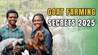 HOW TO PROPERLY MANAGE YOUR GOAT FARM TO INCREASE PROFITS IN 2025| Farming In Africa