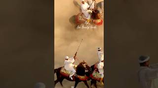 TBOURIDA: The Art of Moroccan Fantasia #shortsvideo #video #shorts #morocco #horse