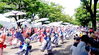 【4K】【天空しなと屋 しん】原宿スーパーよさこい2022　NHK前ストリートゴール地点 Harajyuku