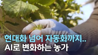 현대화 넘어 자동화까지.. AI로 변화하는 농가 | 전주MBC 220207 방송