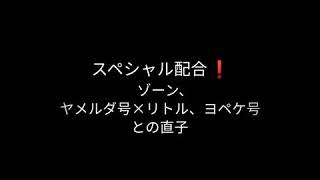 超長距離スペシャル❗ゾーン、ヤメルダ号×リトルヨペケ号との直子🏆19JH01888BC♀