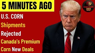 Trump Furious as U.S. Corn Rejected — Canada’s Billion-Dollar Corn Deals Stun Markets!