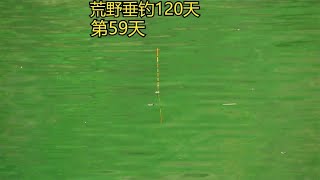 荒野垂钓120天，第59天 第一次夜钓就给我来大暴雨！