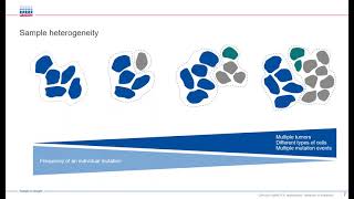 Multiplex detection of oncogenic mutations using LNA-based assays on the QIAcuity digital PCR system