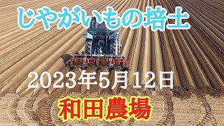 【北海道農業】ジャガイモの培土（土寄せ）しました。ジャガイモ栽培では大事な作業です