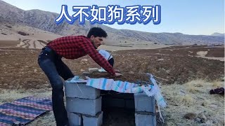 康特搭建狗窝，自己却和男孩露宿工地处，真是让人无法理解的做法