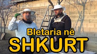 SHKURTI: Çfarë duhet të bëjë Bletari ? ( Kalendari i Bletarit )