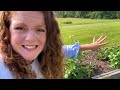 full garden tour explore my raised bed vegetable garden in zone 7 🌿