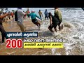 200 കിലോയുള്ള  തിരണ്ടിയെ  ചൂണ്ടയിൽ കയറ്റുന്നത് കണ്ടോ