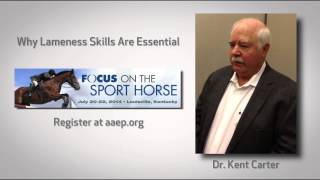 Why Lameness Skills Are Essential