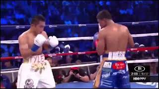 Roman Gonzalez-Brian Viloria highlights