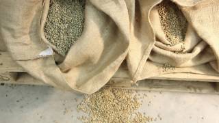 Forbidden Flavours Roastery