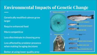 Effect of Farmed Salmon on the Environment and Human Health