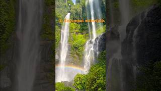 3 amazing waterfalls in Bali, Indonesia 🇮🇩 #shorts #youtubeshorts #shortvideo #beaglobalsightseer