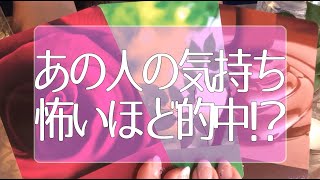 当たりすぎて怖い💘✨あなたが気付いていないお相手の気持ち🧸💕 恋愛タロット占い💫オラクルカードリーディング🔮3択🔮