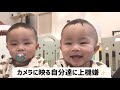 【双子育児動画】カメラの前で仲良しな姿を見せる双子の赤ちゃんtwins twinbaby 【双子のいっくんみっくん】