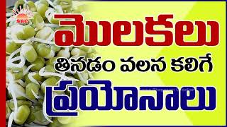 పెసలు తింటే.. ఇన్ని ప్రయోజనాలా..? ||  pesalu #viral #viralvideo #youtube #trending