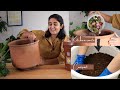 Compost making: Basics to where you’d go wrong | Ep.11 | Garden Up Basics