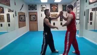FMK Flow Training #2 / This is Not Wing Chun
