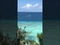 Kaani Palm Beach SEA VIEW Maafushi Maldives #shorts