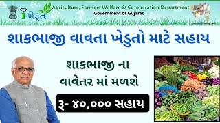 શાકભાજીના વાવેતર પર રૂપિયા - ૪૦,૦૦૦ સહાય || ખેડુત સહાય || By Yojnamahiti