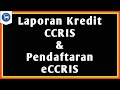 Cara Mohon Laporan Kredit CCRIS Dan Pendaftaran eCCRIS Secara Online