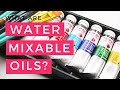 DALER ROWNEY GEORGIAN WATER MIXABLE OIL Paint Set Unboxing and Review