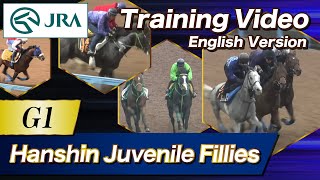 2024 Hanshin Juvenile Fillies (G1) Training Video | JRA Official [ENG sub] 阪神ジュベナイルフィリーズ 調教VTR（英語版）