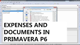 PPM P6 - 12 Expenses and documents in Primavera P6