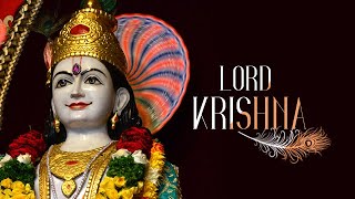 Lord Shri Krishna | Narayan Vasudeva | Lord Vasudeva | Pujya Niruma