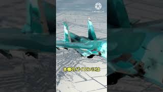 【ゆっくり兵器解説】Su-34解説#ゆっくり解説 #戦闘機 #戦闘爆撃機#スホーイ34#ロシア空軍