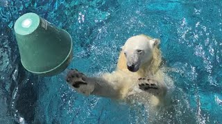 20220510:今日の円山動物園