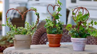 DIY Wire Topiaries for Houseplants! ❤️🌿 // Garden Answer