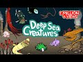 Deep sea animals | What kind of fish lives under the deep sea? | Kids Draw