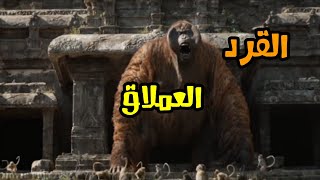 شيلات أفلام⁦✴️⁩ اكشن 🔥 القرده العملاق🦍 كان يبي يقتل 😳ماوكلي شوف ويش صار 🔥