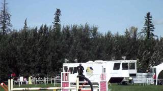 Clear Round 1.2m Show Jumping Class