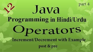 12 java programming Increment & Decrement Operators