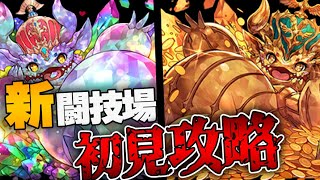 修羅の幻界 マジで狂ってる新ダンジョン初見 環境最強PTで挑戦【パズドラ】